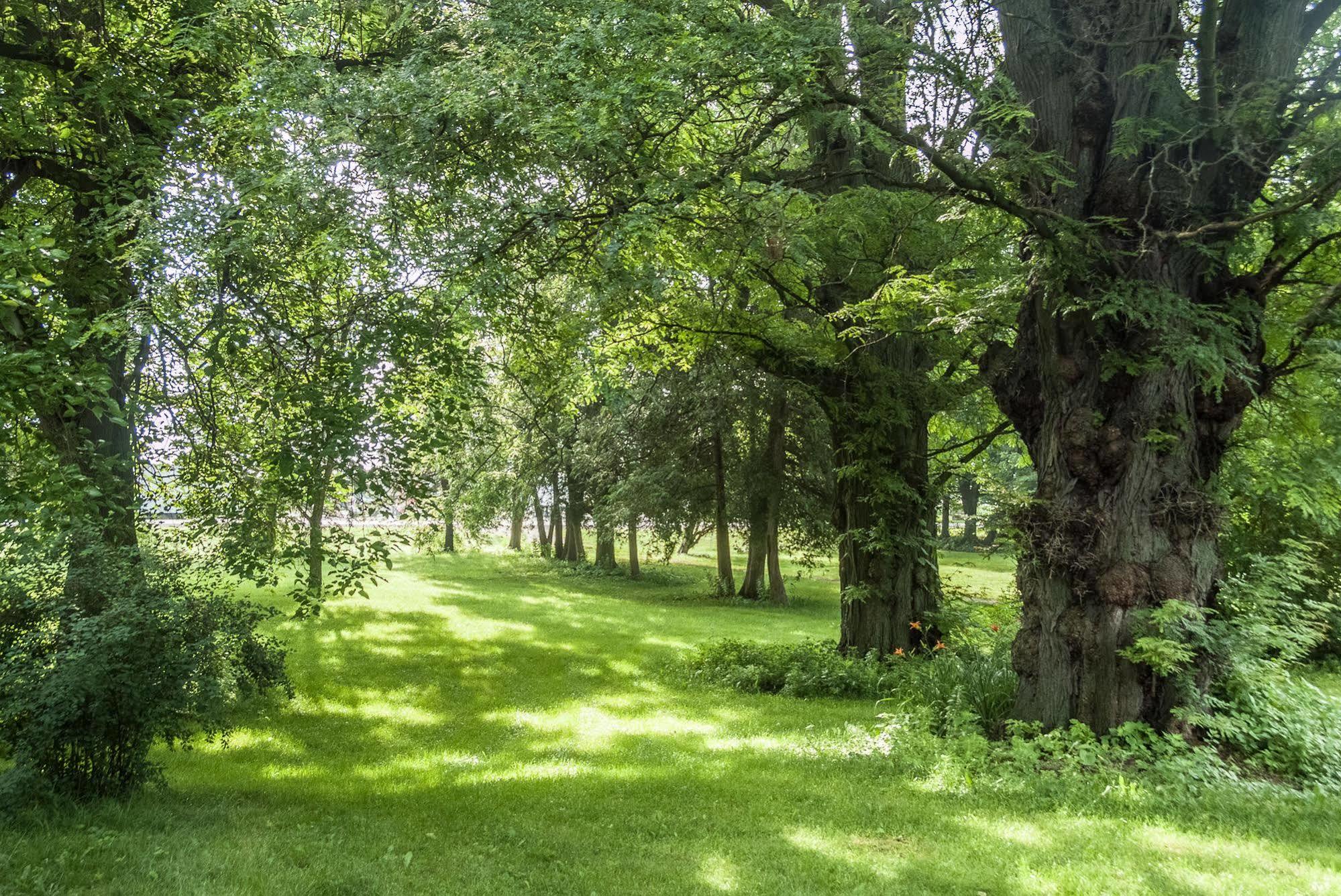 Culverdene House Simcoe Zewnętrze zdjęcie