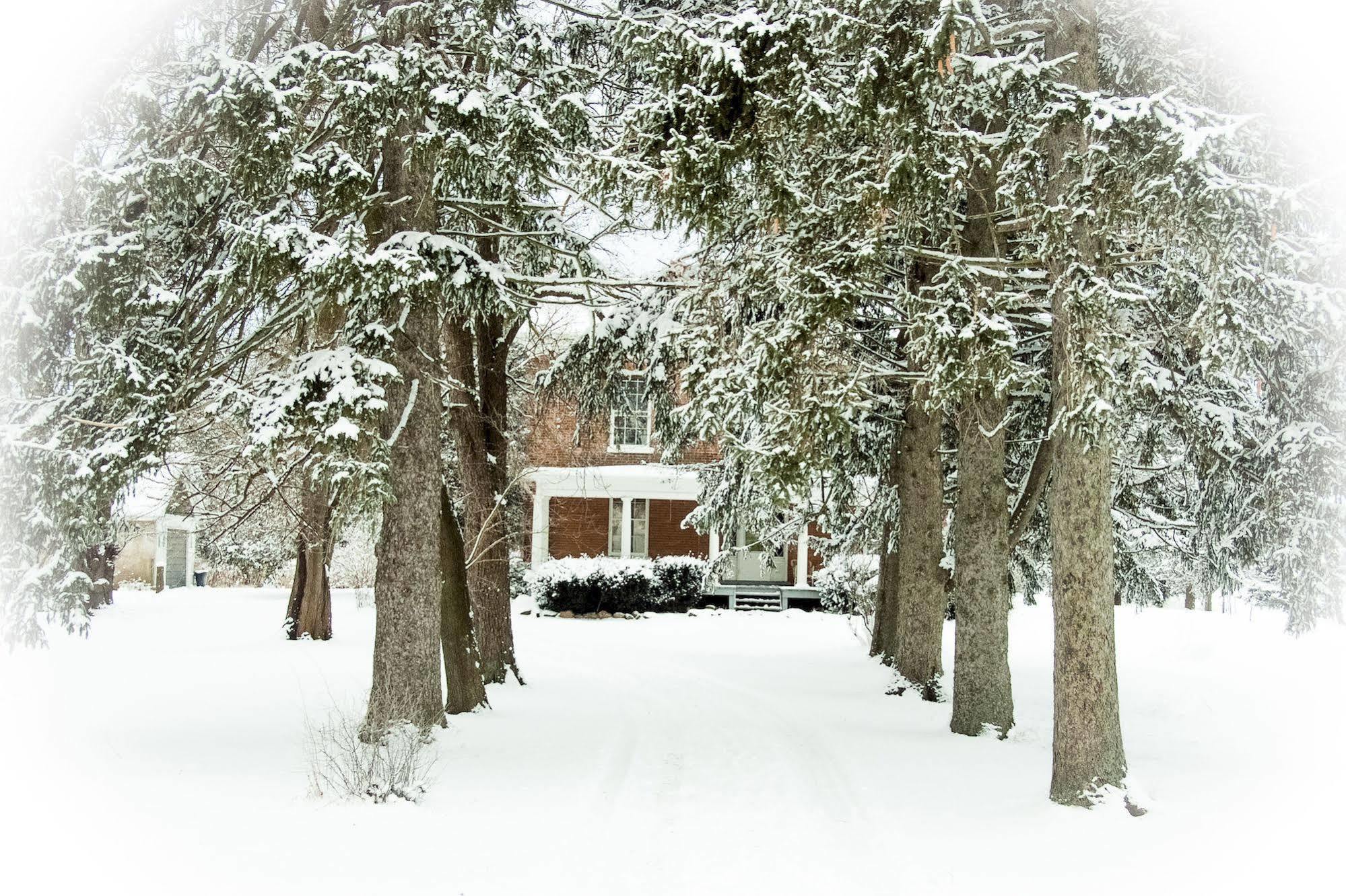 Culverdene House Simcoe Zewnętrze zdjęcie
